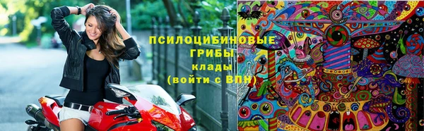 хмурый Алексин
