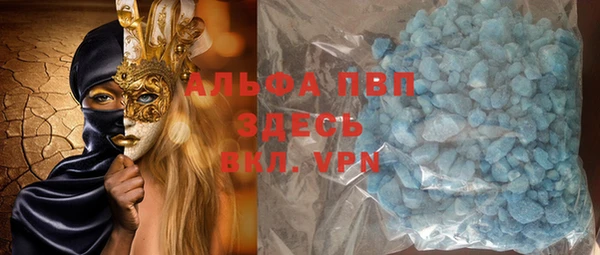 хмурый Алексин
