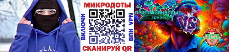 Псилоцибиновые грибы прущие грибы  Дно 